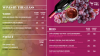 Wine digital menu template